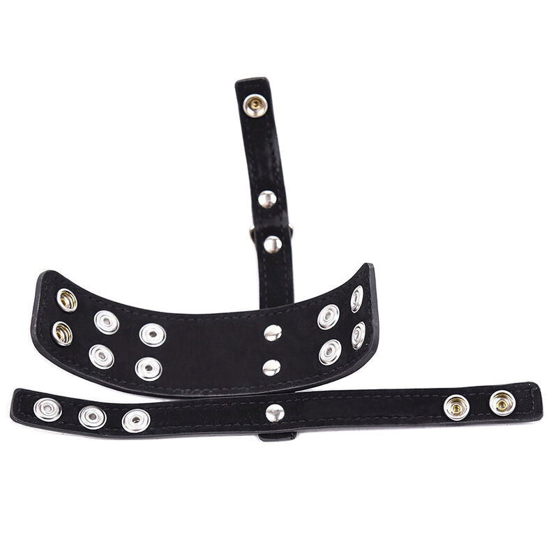 Premium Leather Chastity Sheath