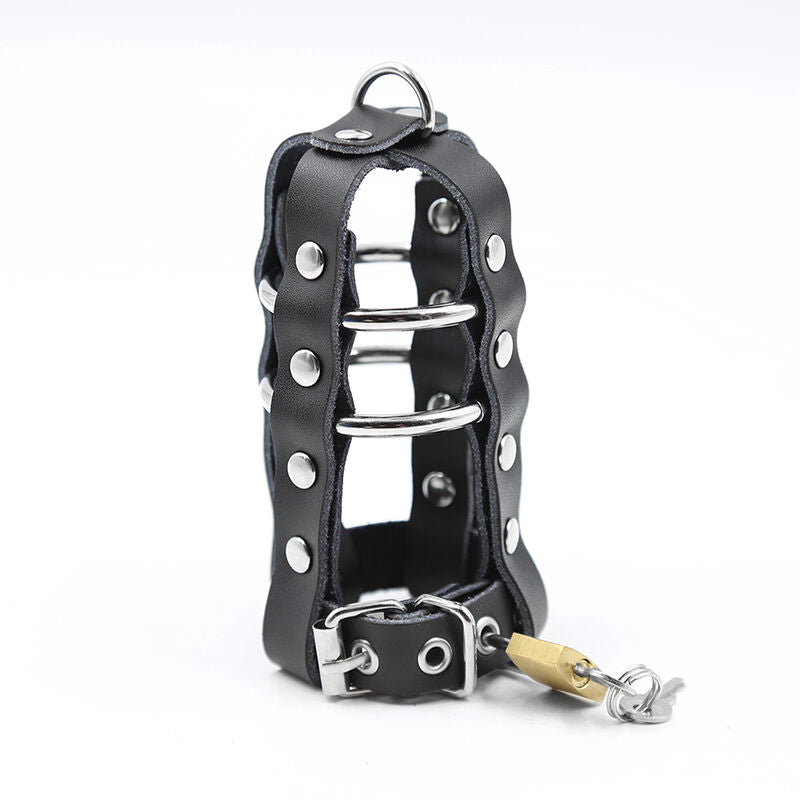 Funda de Cuero con Candado y Anillos Metálicos