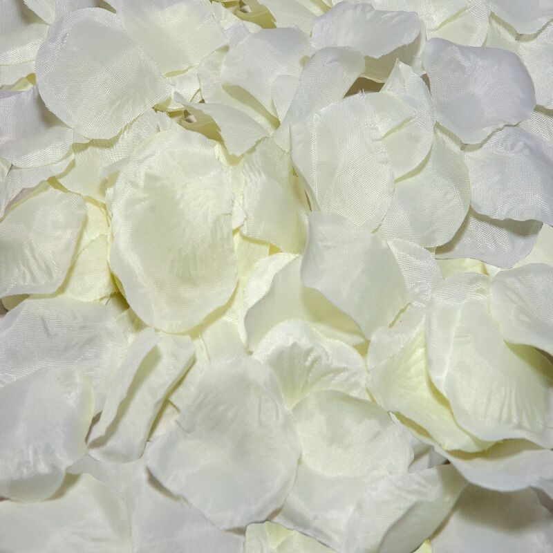 100 Vanilla Petals Intimate Sex Toy
