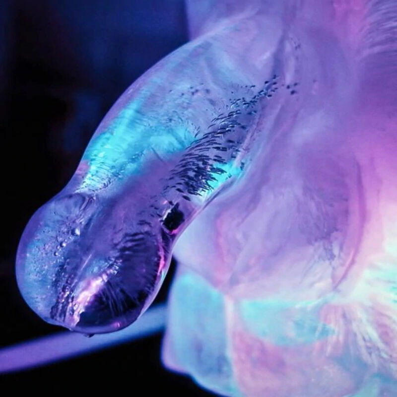 Penis Ice Luge Mold