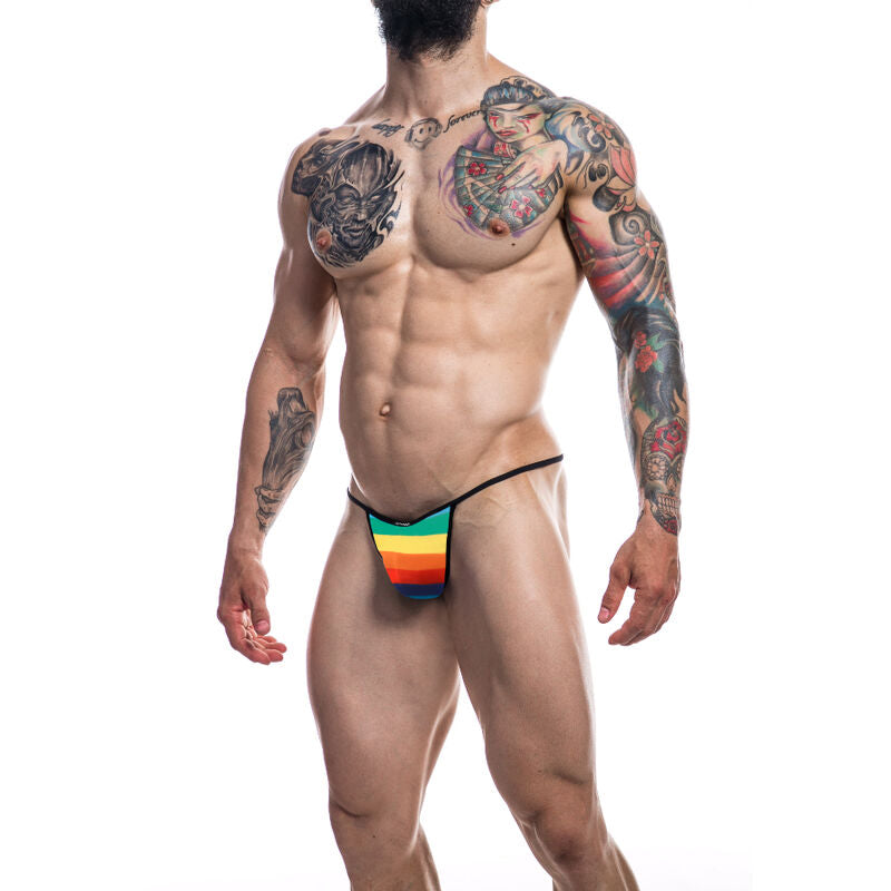 Rainbow Briefkini Lingerie - Size L