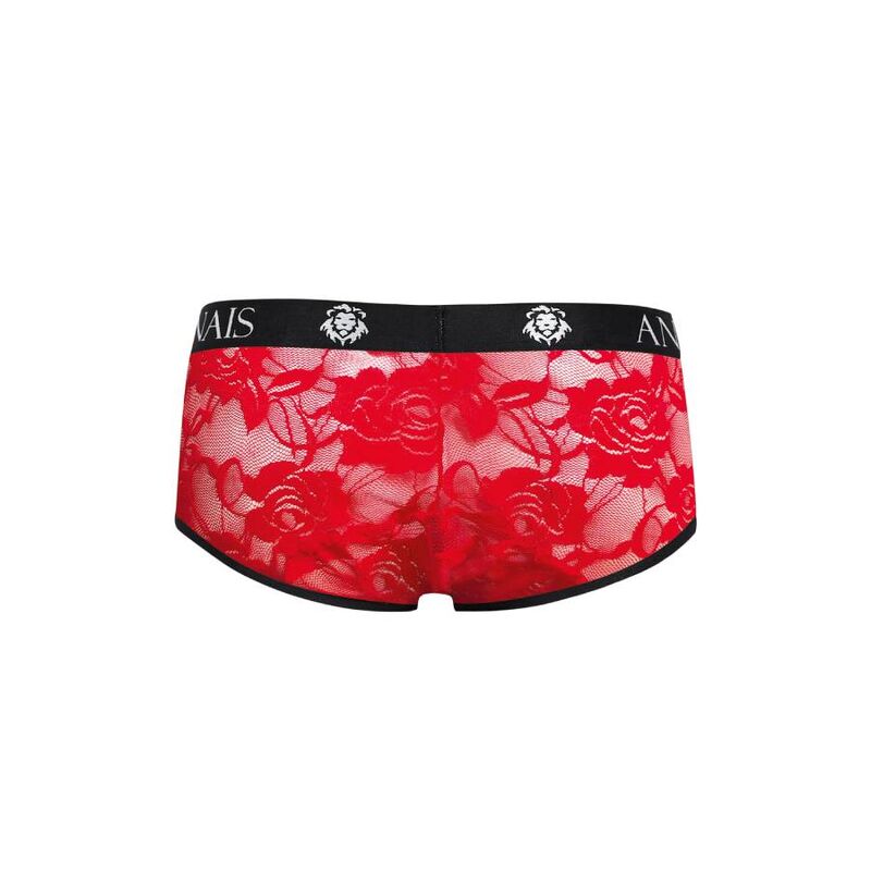 Brave Brief S Lingerie Sedutora