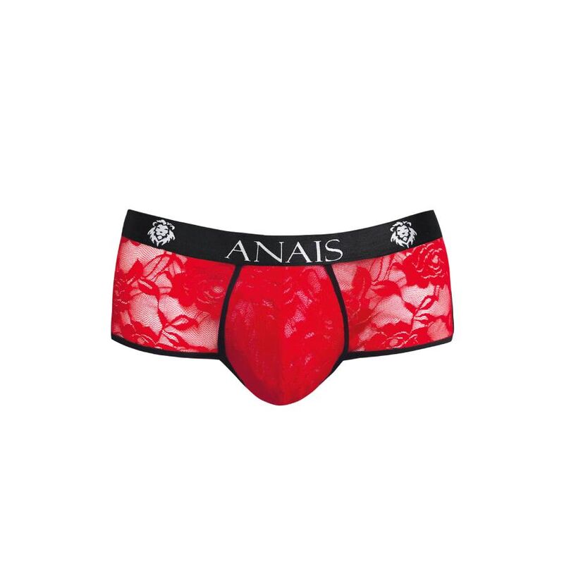 Brave Brief S Lingerie Sedutora