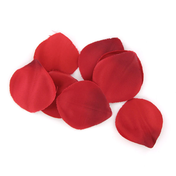 Red Temptation Erotic Essentials Kit