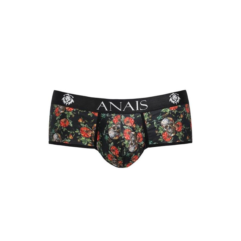 Power Brief Men's Erotic Lingerie
