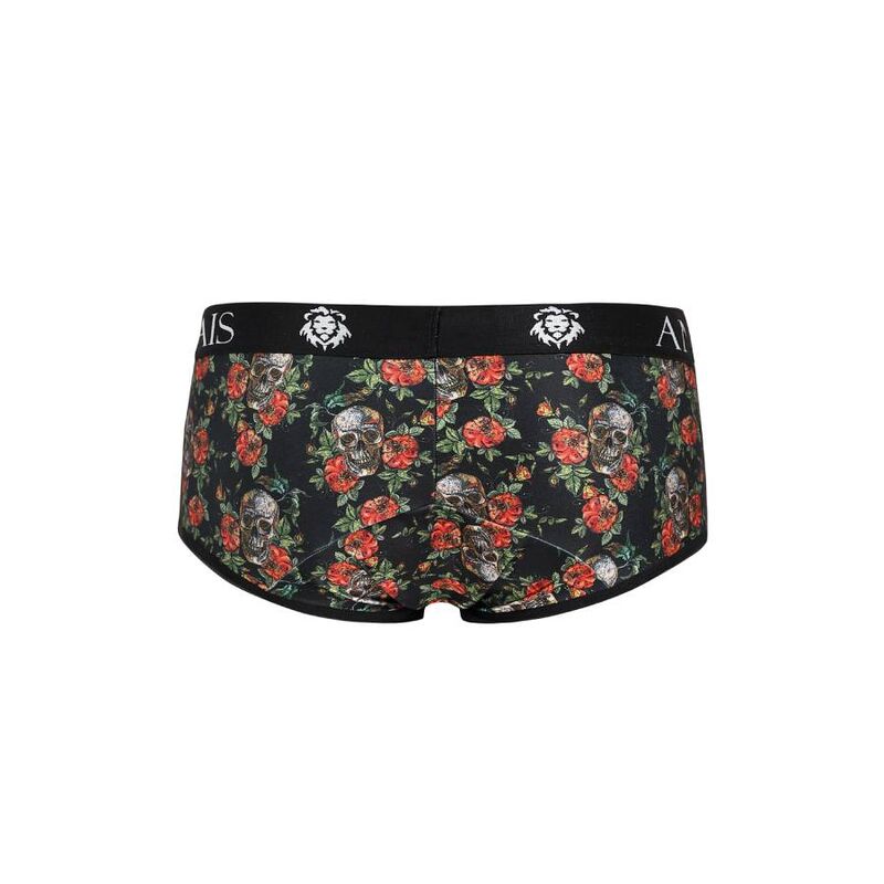 Power Brief Men's Erotic Lingerie