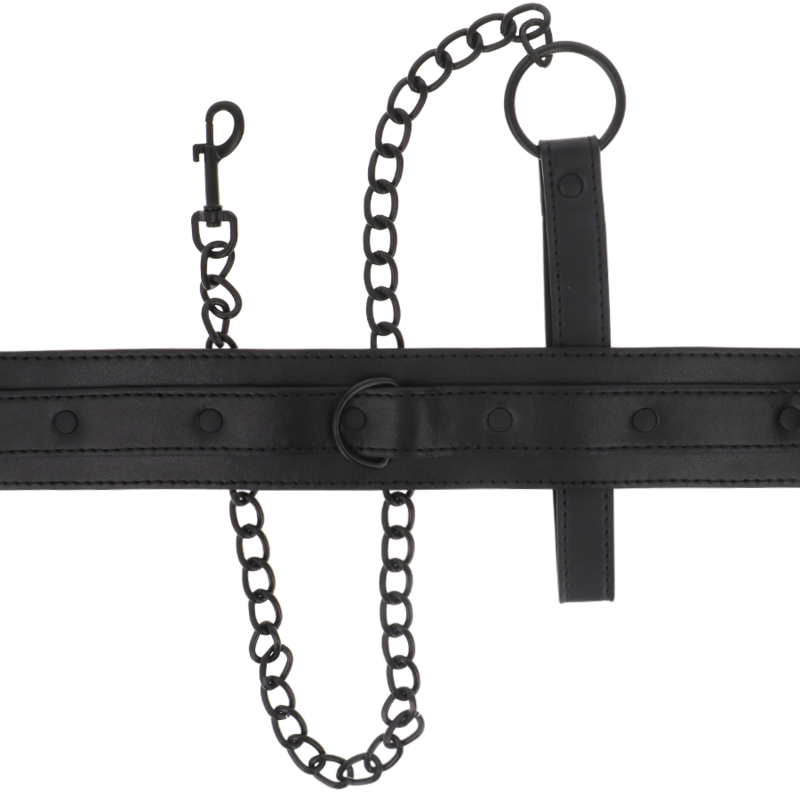 Vegan Leather Fetish Bondage Collar