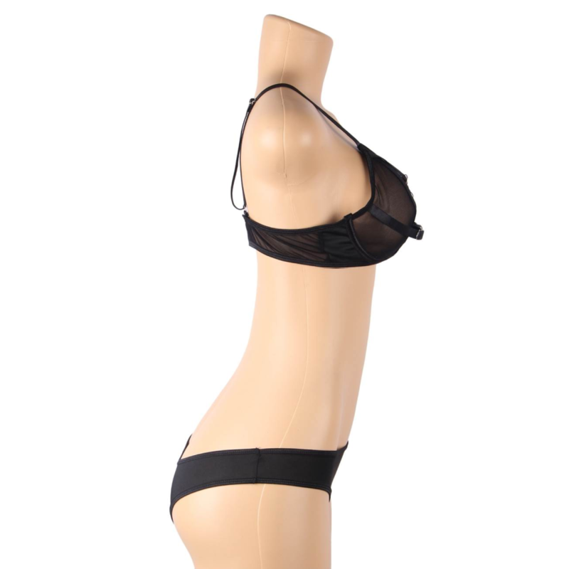 Transparent Two-Piece Lingerie Set