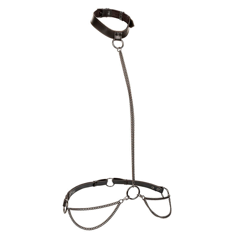 Conjunto de Coleira de Corrente e Trela Euphoria