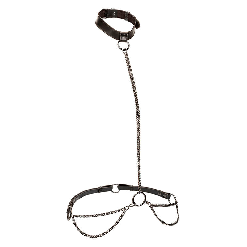 Collar con Cadena y Correa Talla Grande Euphoria