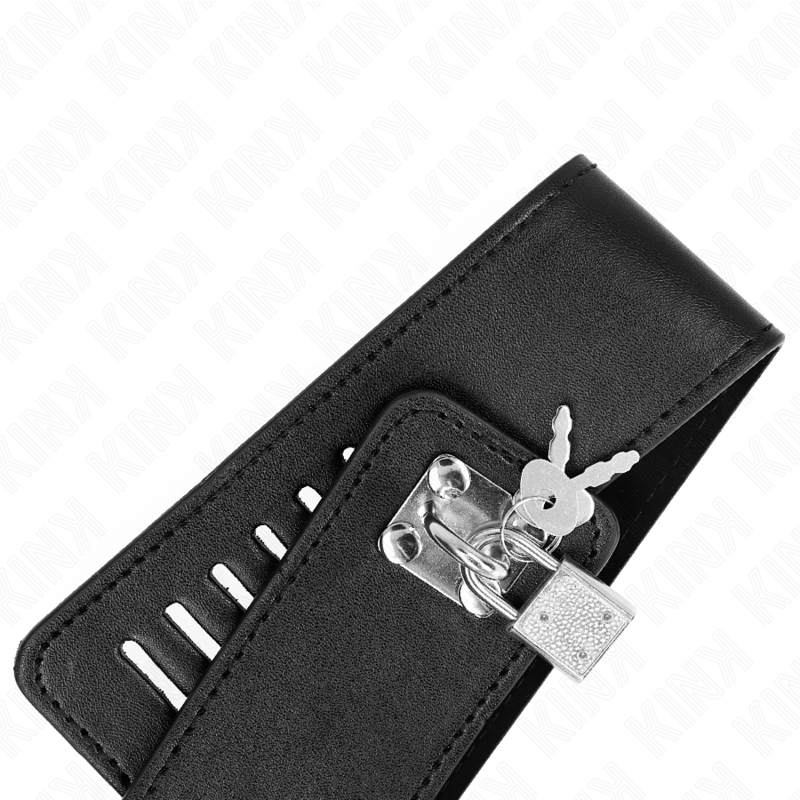 Adjustable Bondage Collar & Leash Set