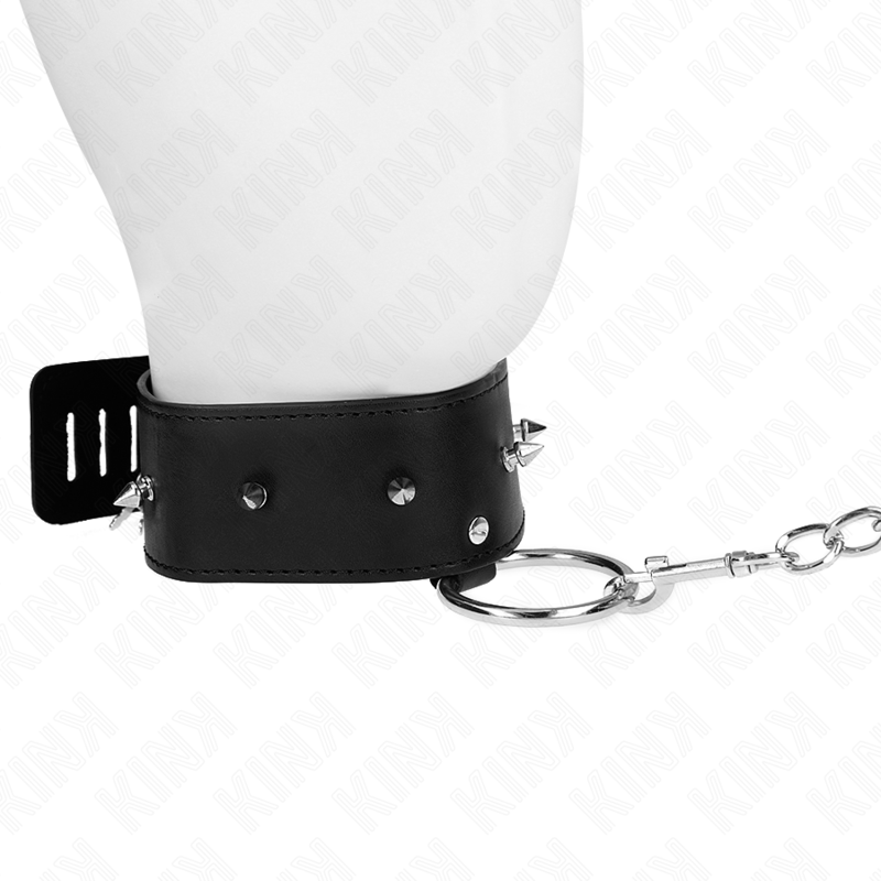 Adjustable Silver Studded Collar & Leash