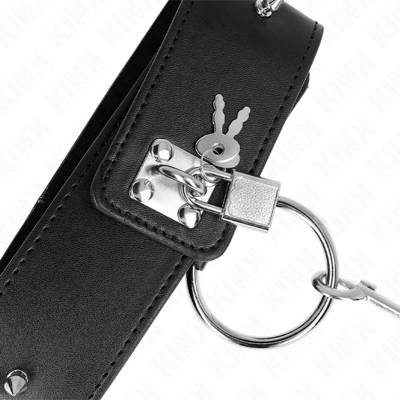 Adjustable Silver Studded Collar & Leash