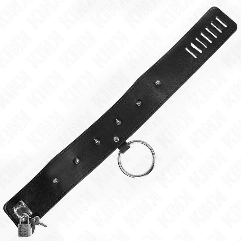 Adjustable Silver Studded Collar & Leash