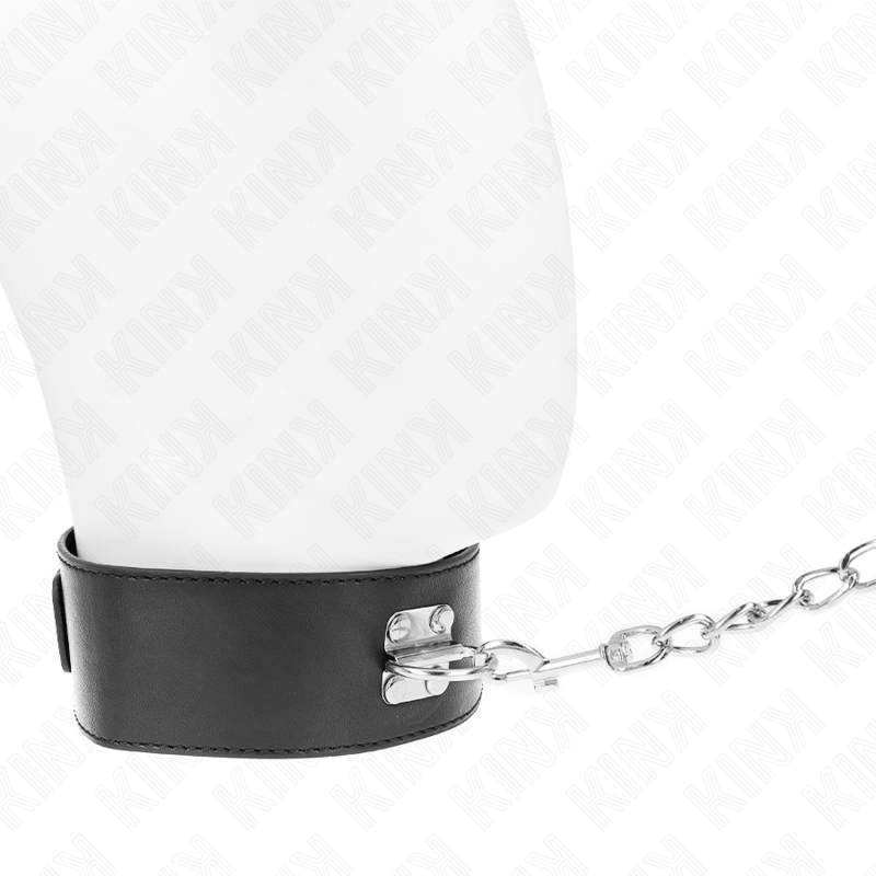 Basic Model Collar with 65cm Leash