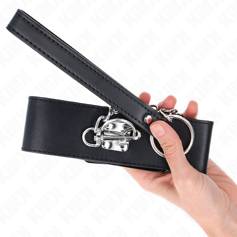 Basic Model Collar with 65cm Leash