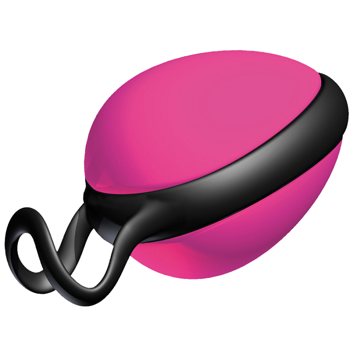 Secret Single Ball Fuchsia Pink Sex Toy