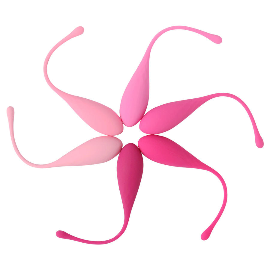 Kegel Fit Pelvic Exercise 6-Weight Set