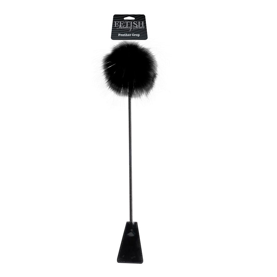 Elegant Black Feather Bedroom Crop