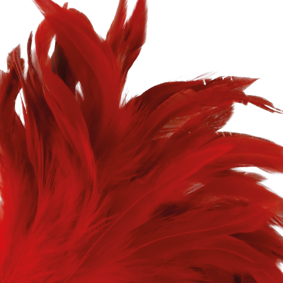 Sensual Red Stimulating Pen 24cm