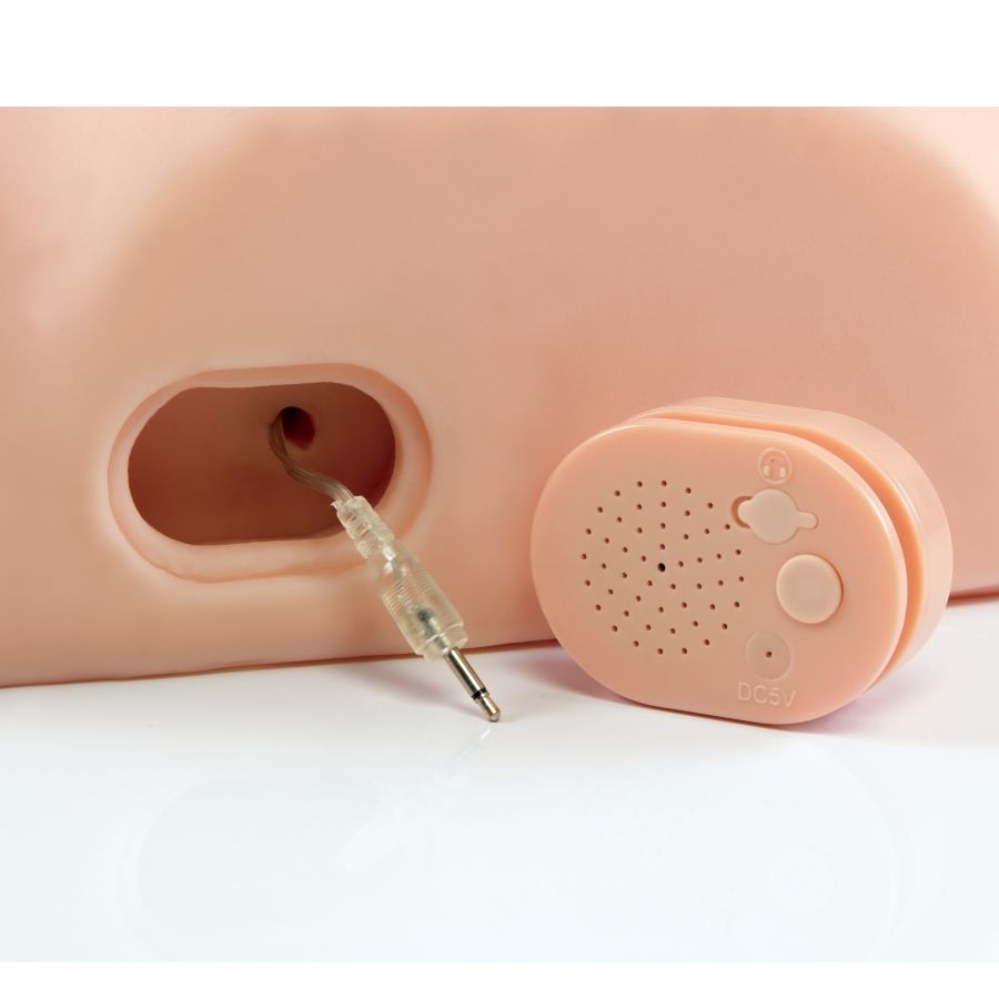 Interactive Fuck Him Silly Sex Toy