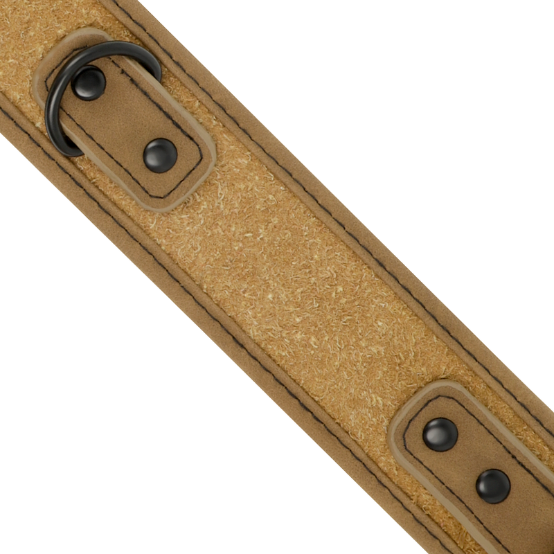 Neoprene Collar with Connecting Chain
