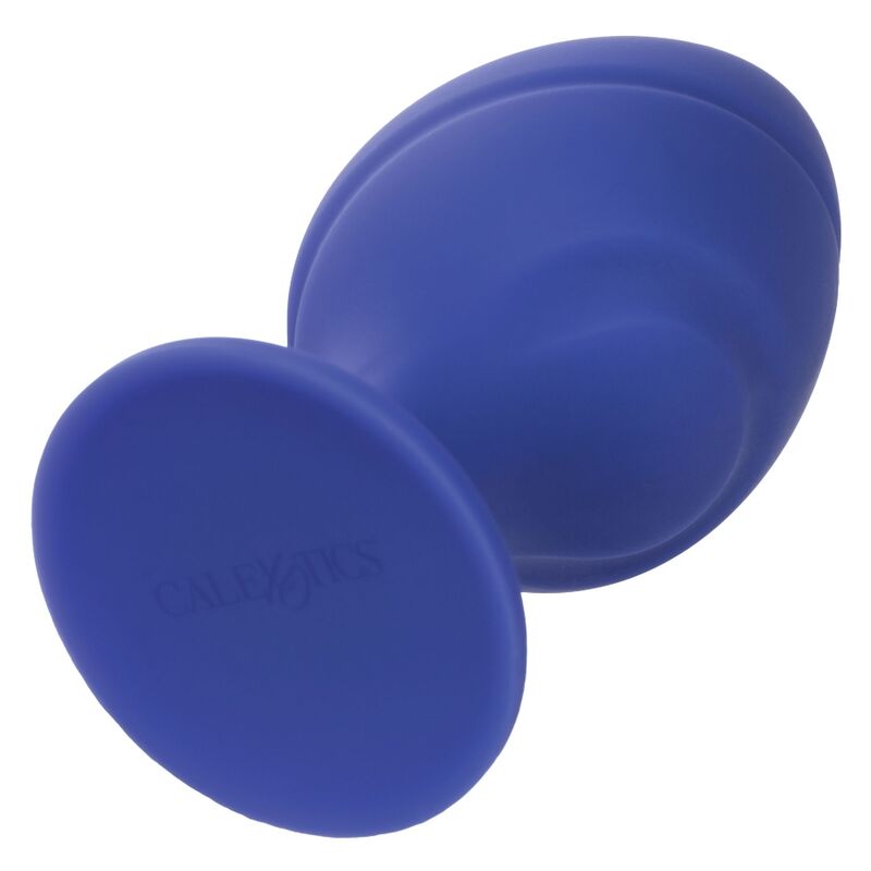 Purple Cheeky Buttplug