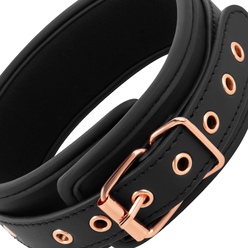 Vegan Leather Collar w/ Neoprene Lining