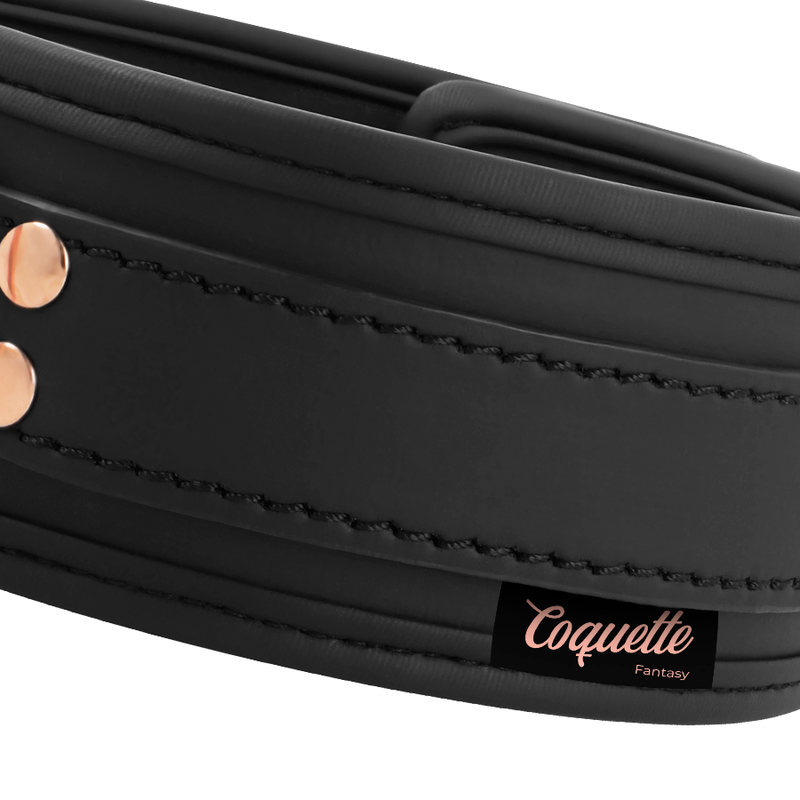 Vegan Leather Collar w/ Neoprene Lining