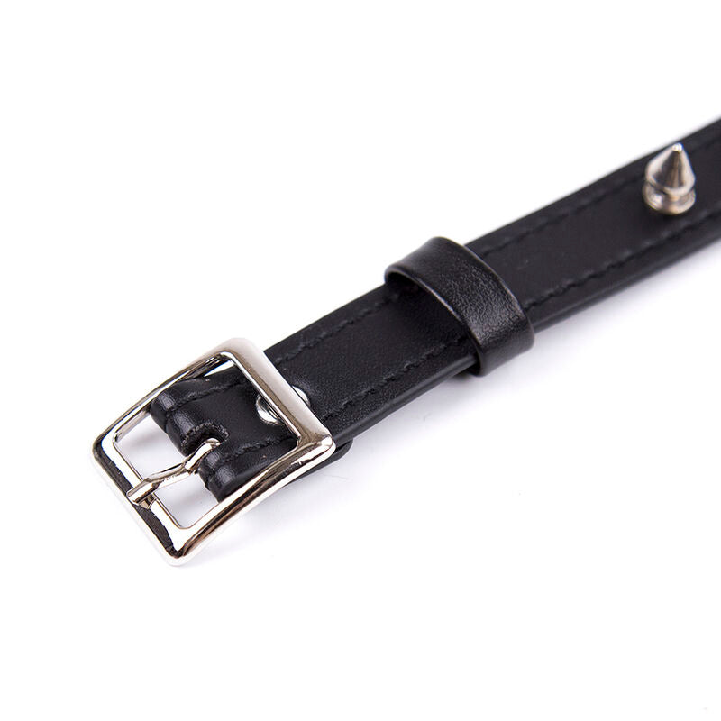 Spikes Punk BDSM Collar