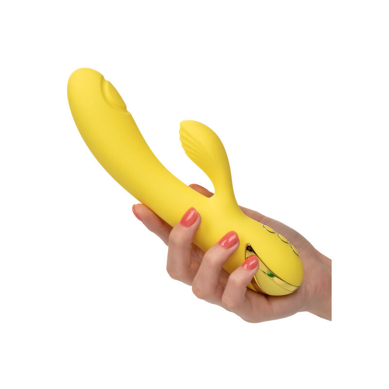 San Diego Seduction Erotic Sex Toy