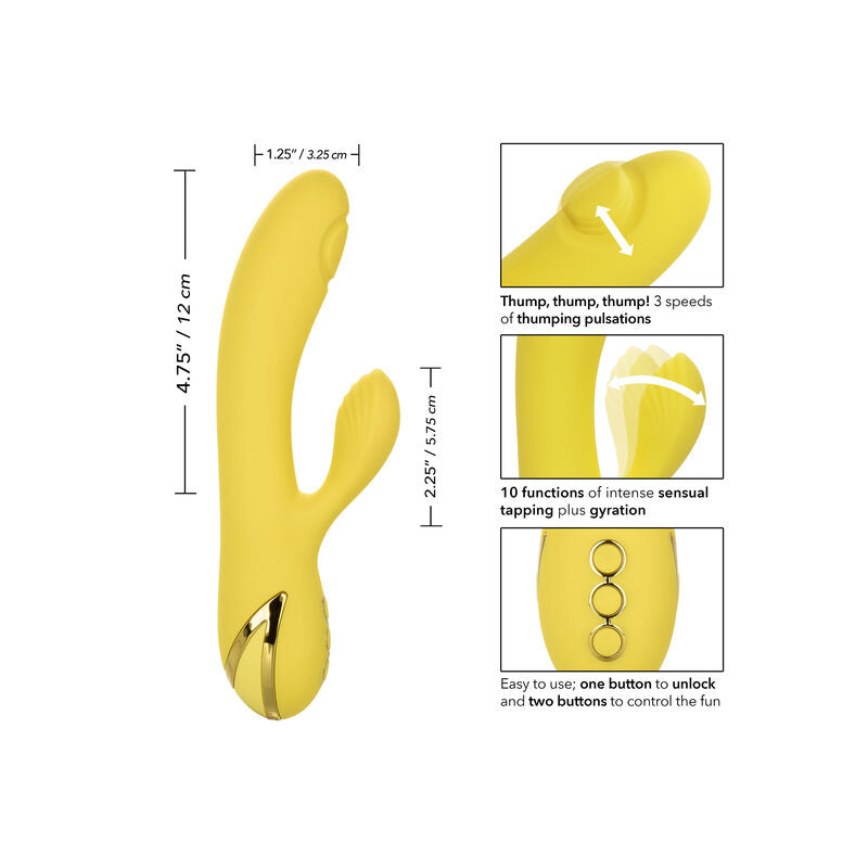 San Diego Seduction Erotic Sex Toy