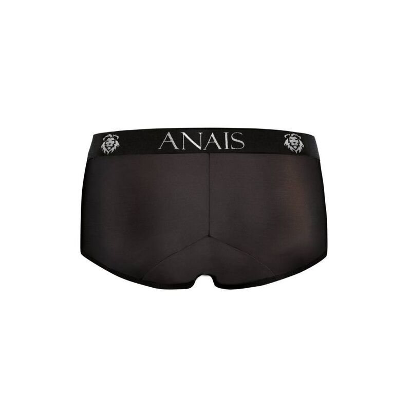 Petrol Briefs - Seductive Men's Lingerie