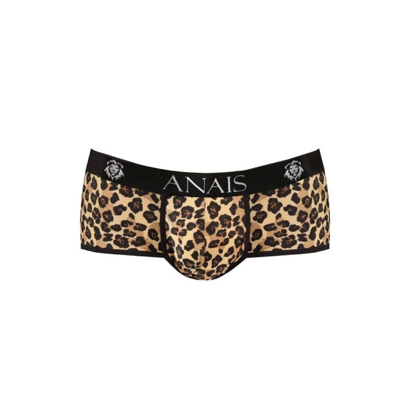 Mercury Brief Men's Lingerie