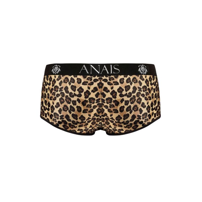 Mercury Brief Men's Lingerie