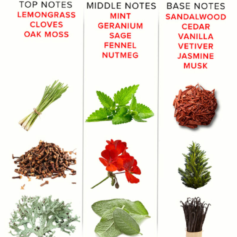 Eol Phr Romantic Deluxe Parfum 50ml