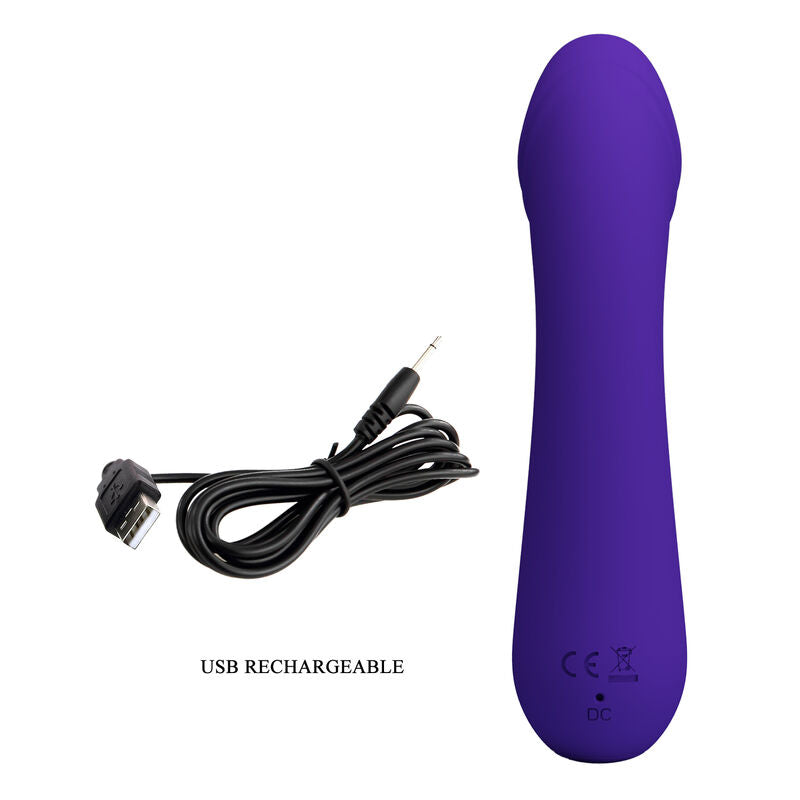Cetus Purple Rechargeable Vibrator