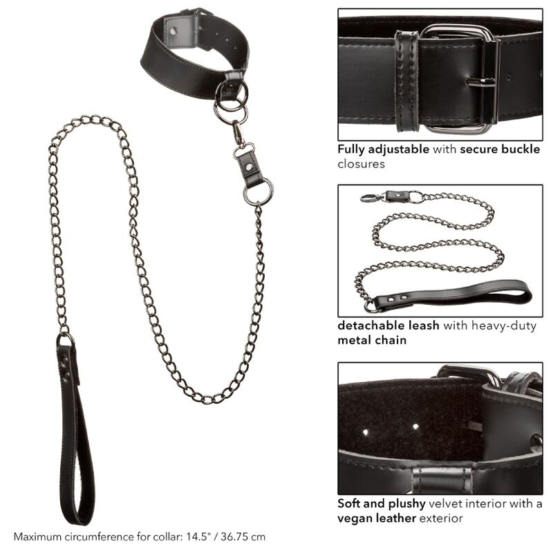 Euphoria Collar With Chain Leash