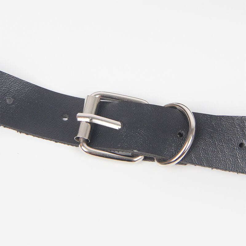 Elegant Garter Harness with Rings
