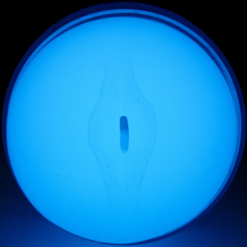 Feel Glow In The Dark Pleasure Stroker