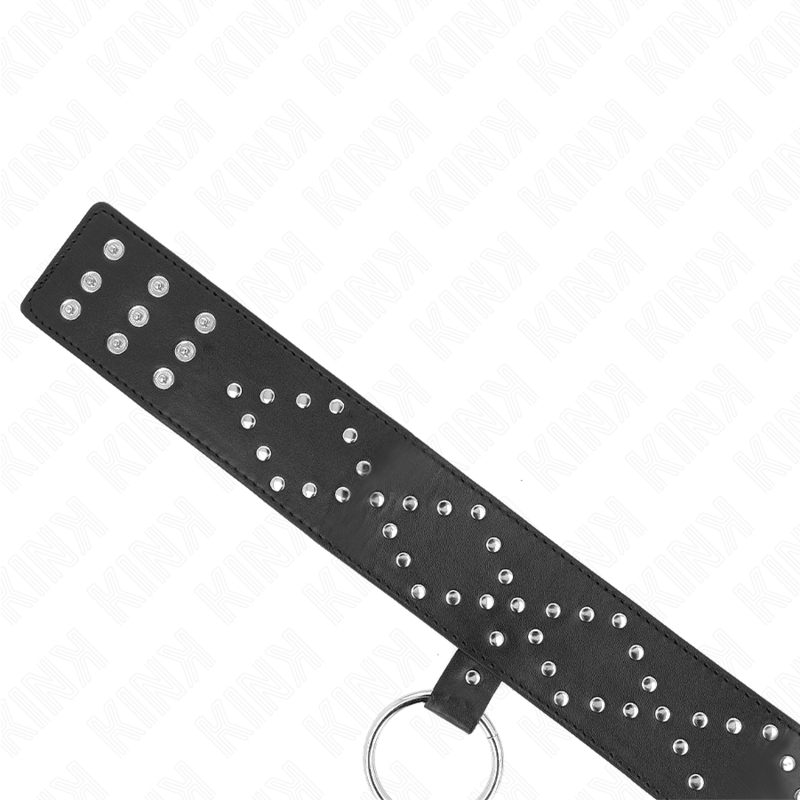 Silver Studded Collar & Leash Set Model 3