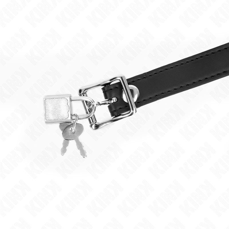 Model 1 Silicone Ball Gag With Lock