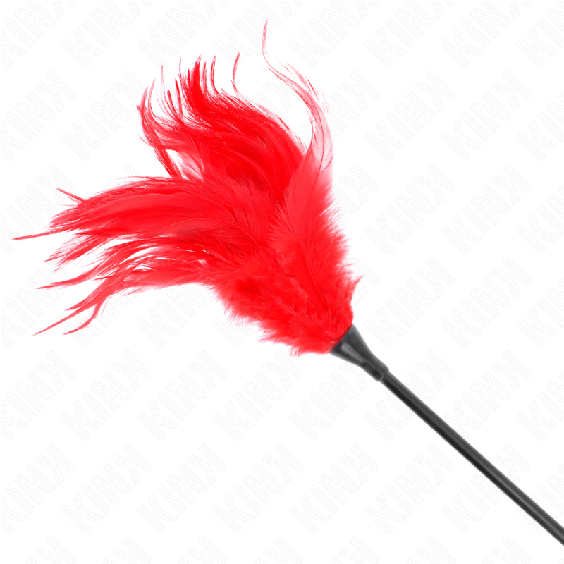 Red Tickle Feathers for Bondage Play