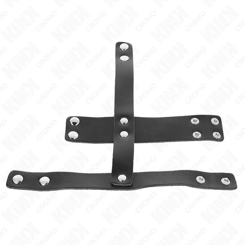 Leather Penis Cage with Ball Divider