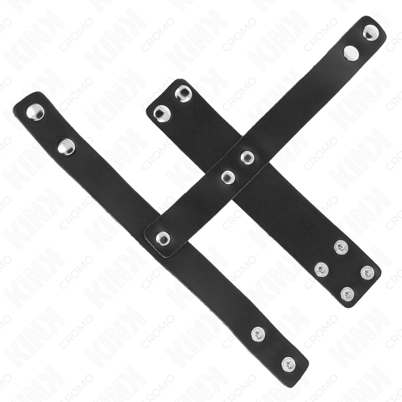 Leather Penis Cage with Ball Divider