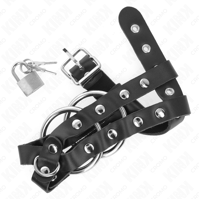 Adjustable Male Chastity Cage with Lock
