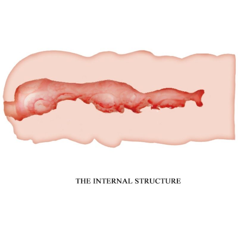 Isabel Vaginal Masturbator 13.5cm