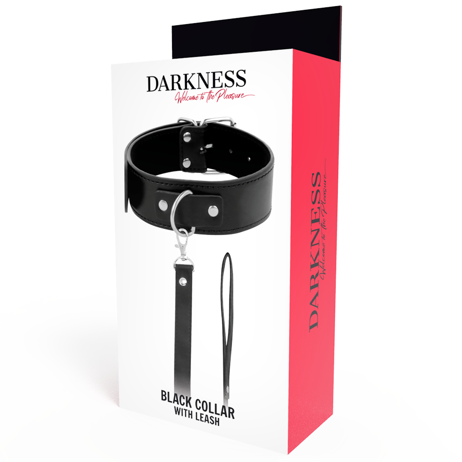Leather Chain Posture Collar