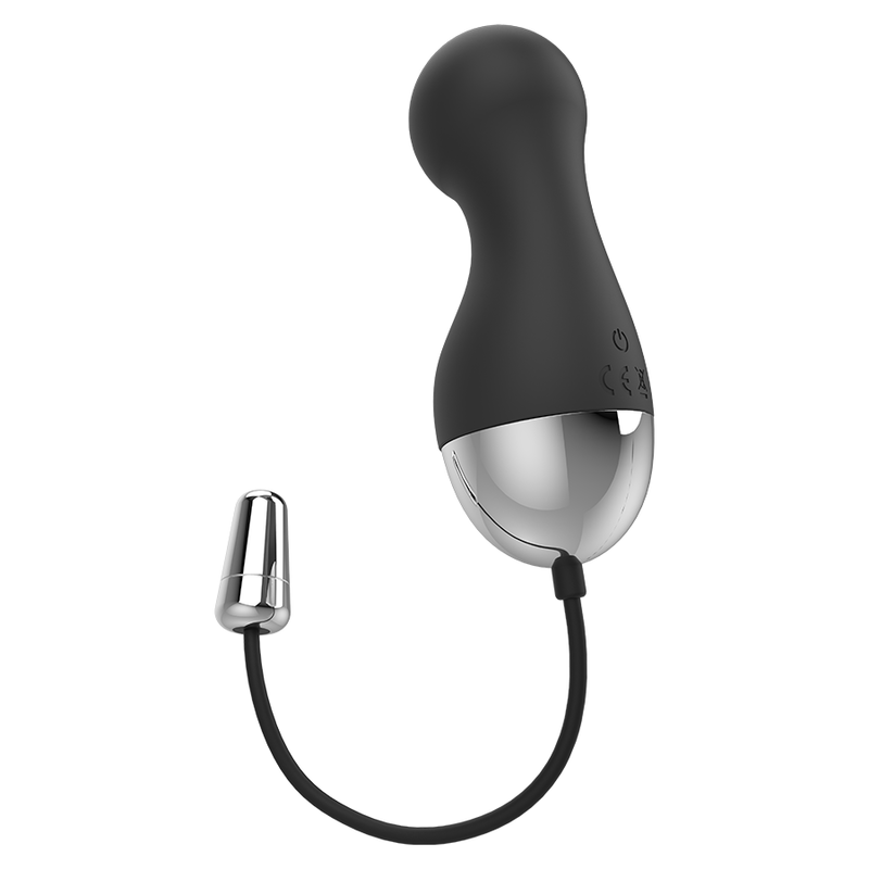 Ian Remote Control Sex Toy